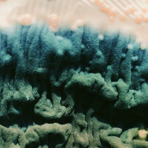 Bruno figueiredo X4 P6 B5d KJ1 Y unsplash